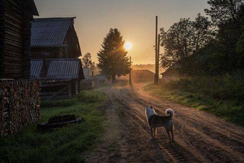 Бублик встречает Солнце