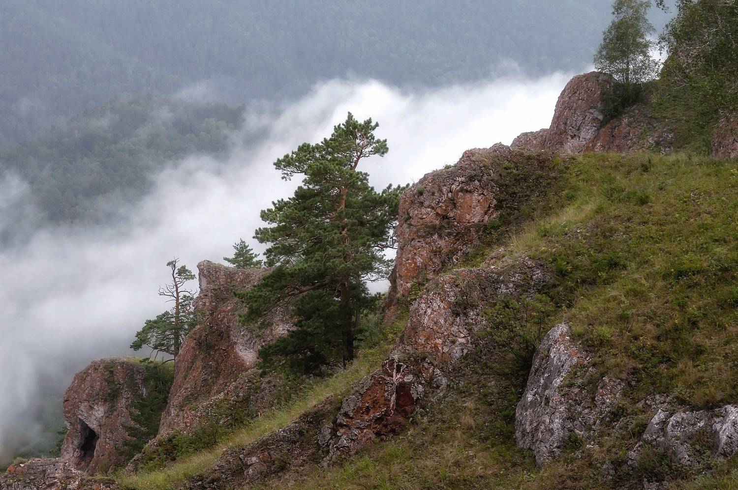 красноярск, торгашинский хребет, дождь, туман, Фомина Марина