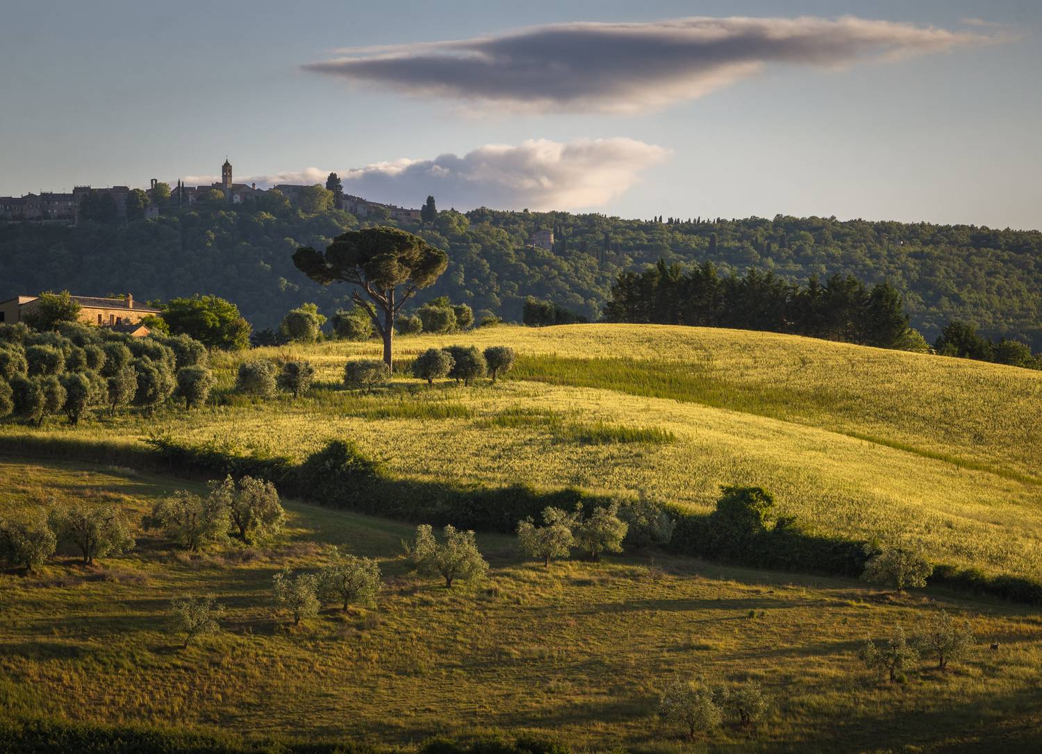 , Алекс Римский