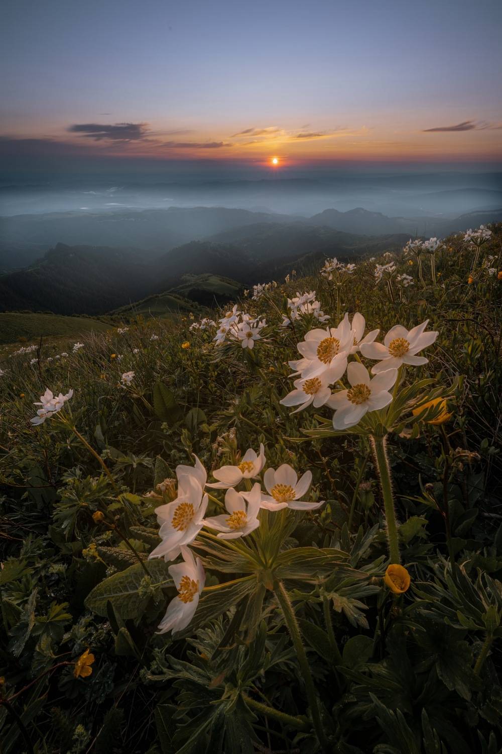 , Ширгин Сергей