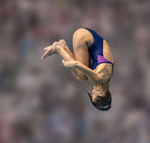 sculptured in flight