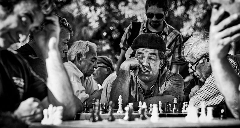 Sapiens фото превью