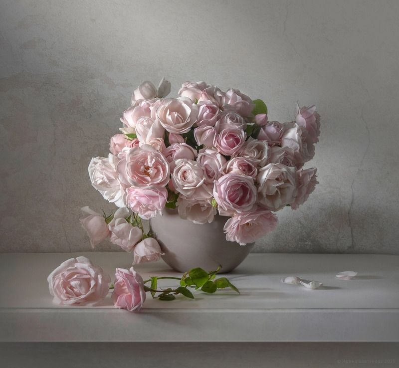 Розовая нежность фото превью