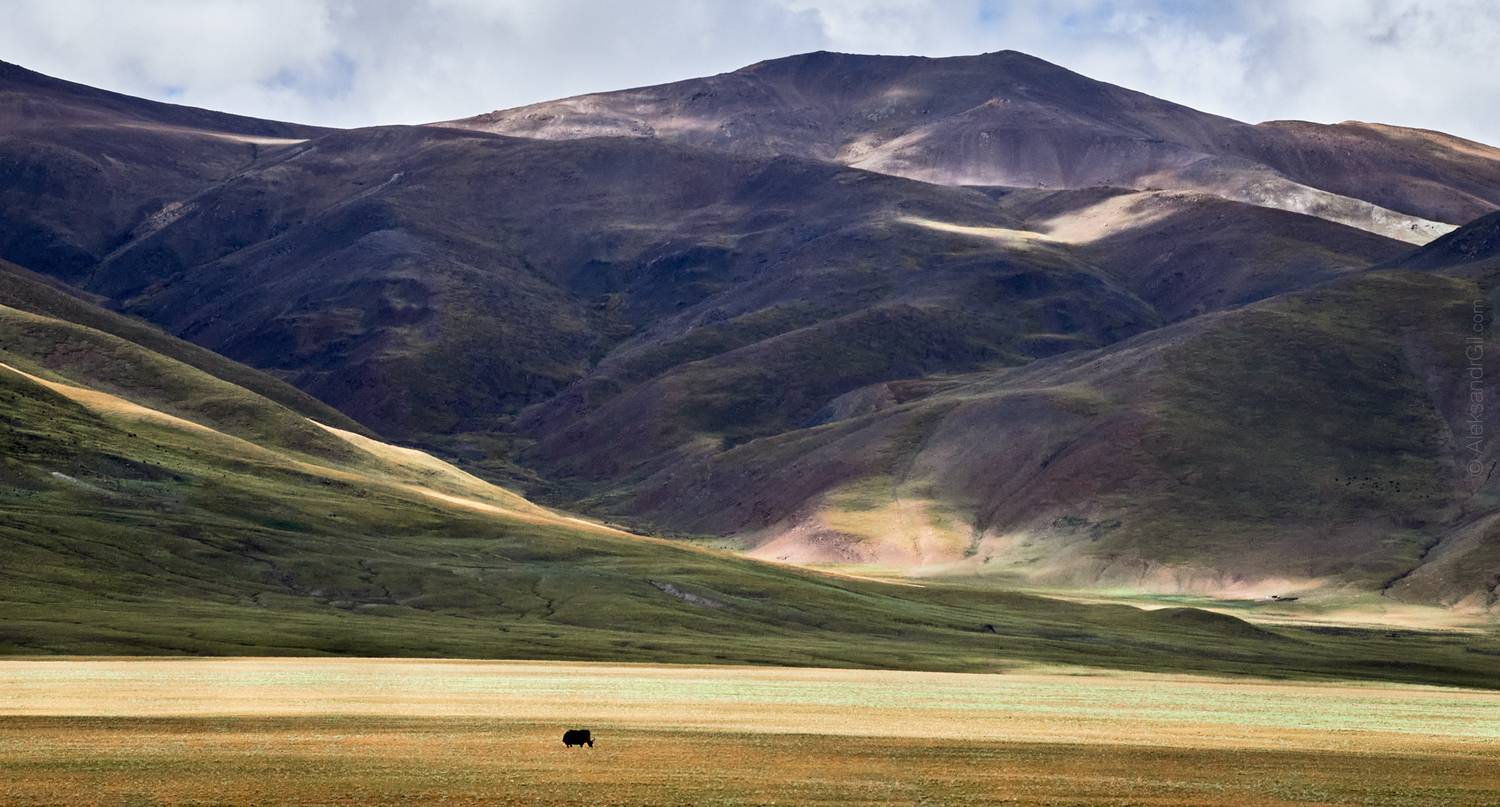 , Гиль Александр