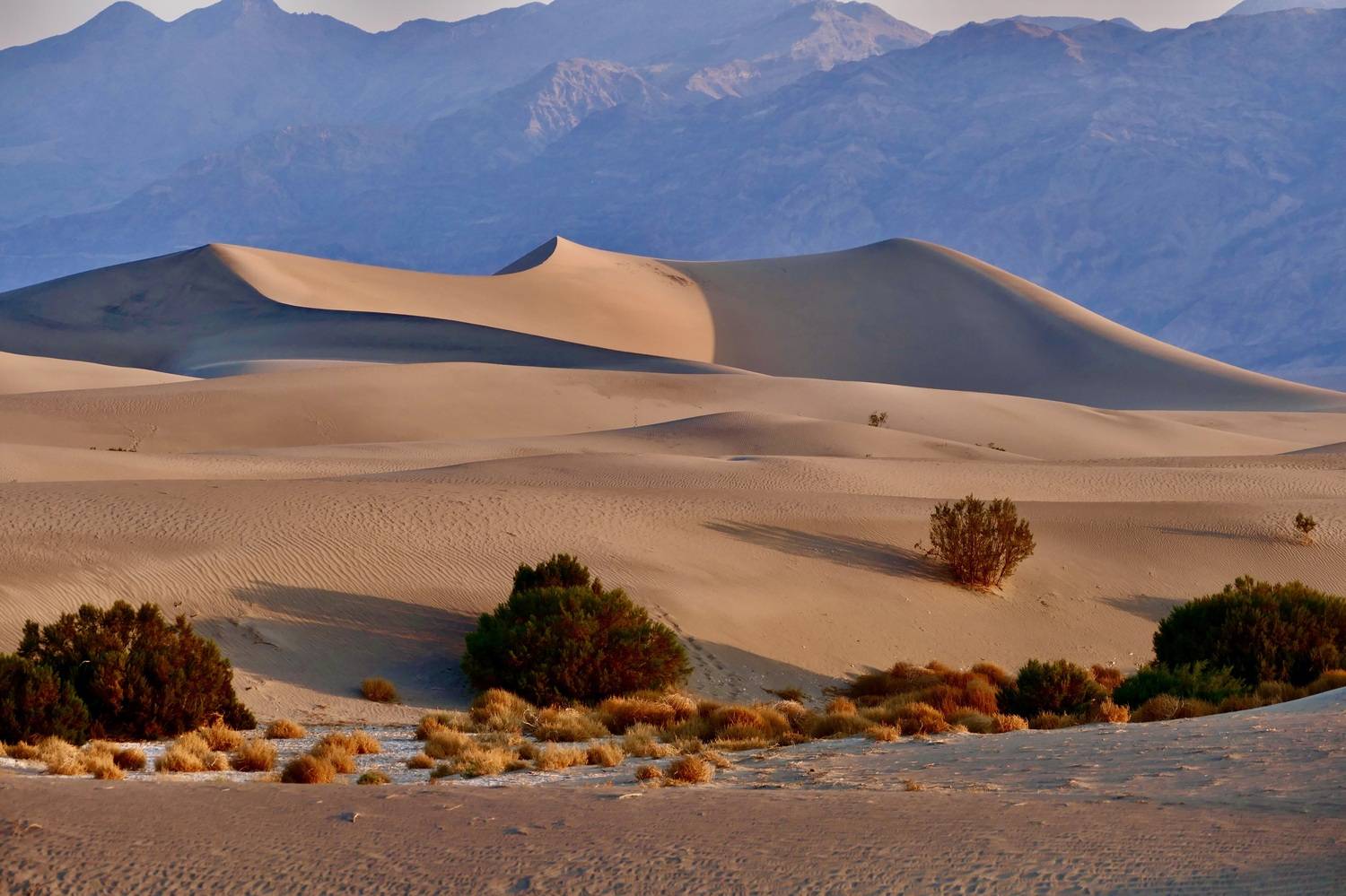 Landscapes, USA, California, Death Valley National Park, Desert, , Svetlana Povarova Ree