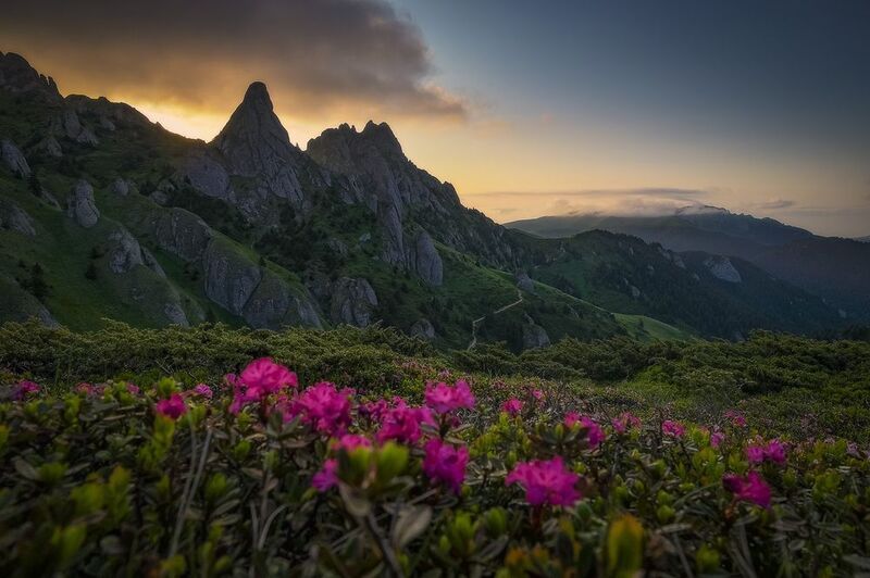 2025 фото превью