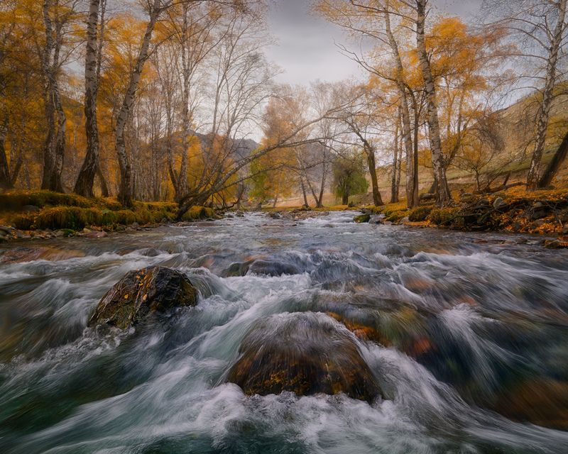 Белые косы Алтайских речек фото превью