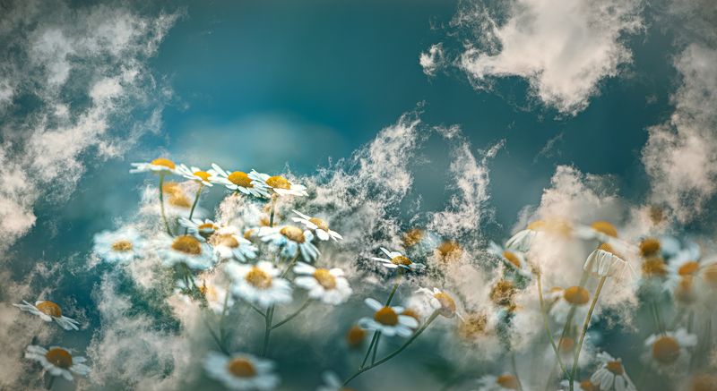 мультиэкспозиция Облачный десант фото превью