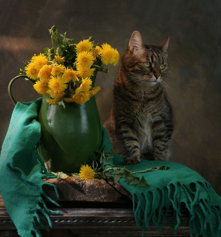 Муся и одуванчики фото превью