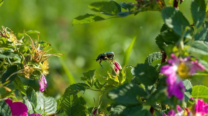 3,2,1, пуск фото превью