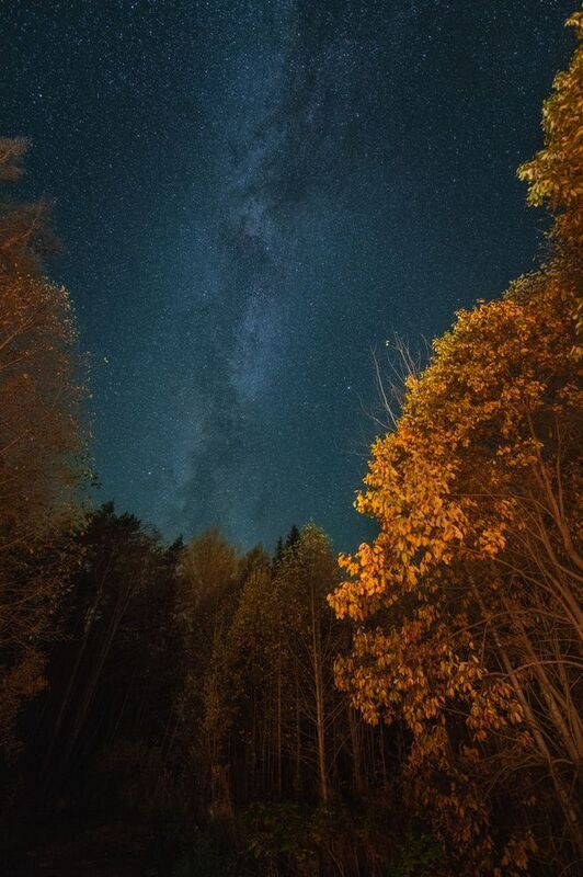 Ночное небо, звезды, Млечный путь, лес, осень  фото превью