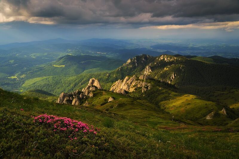 2025 фото превью