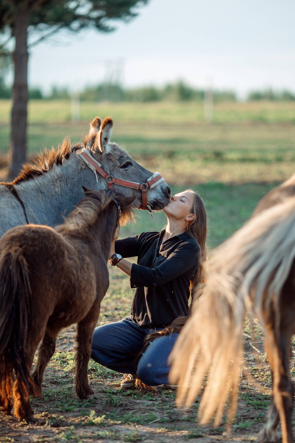 , Дмитрий Плеханов