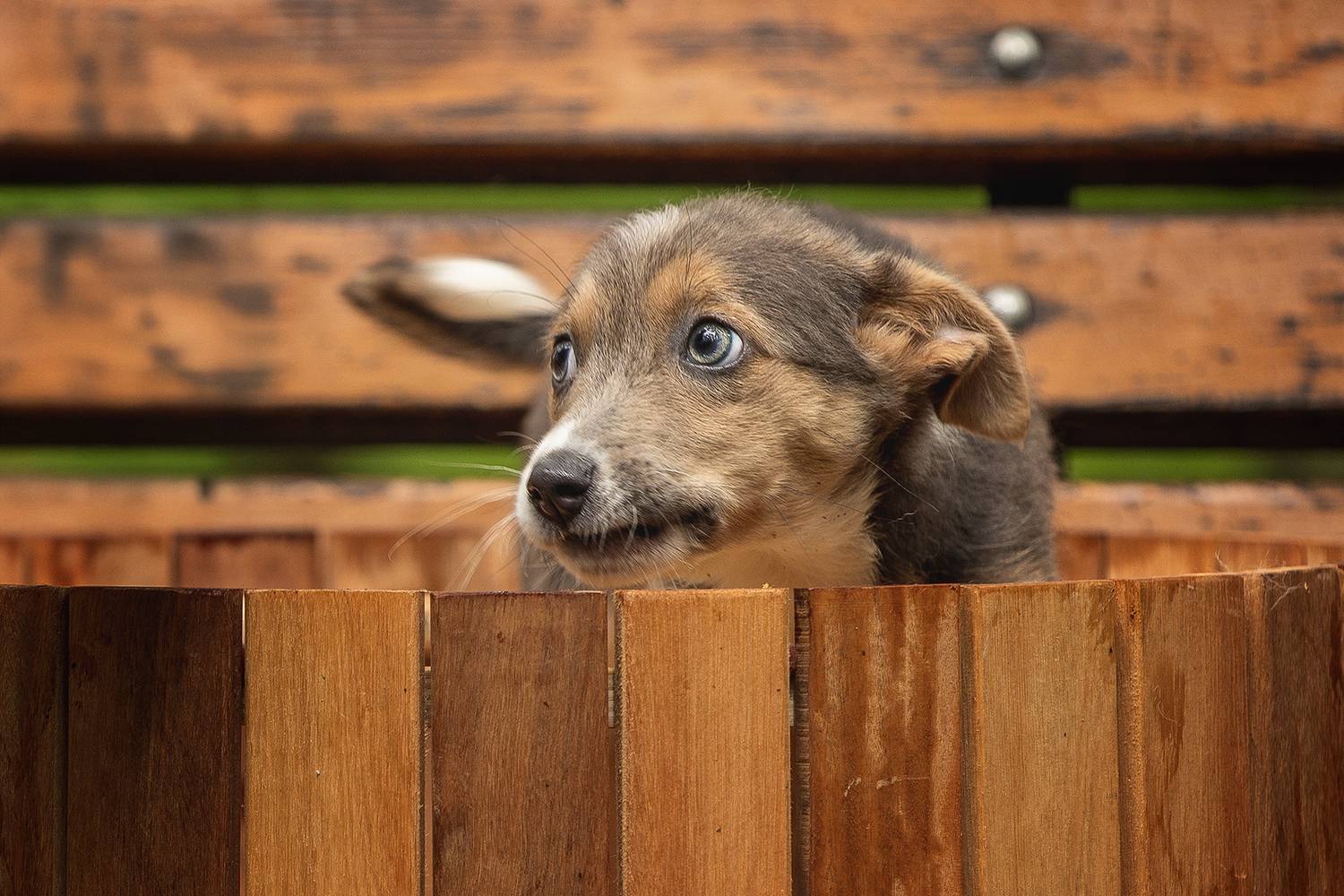 , Елена Самусенкова