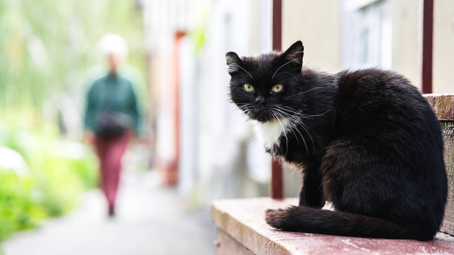 , Вертиков Юрий