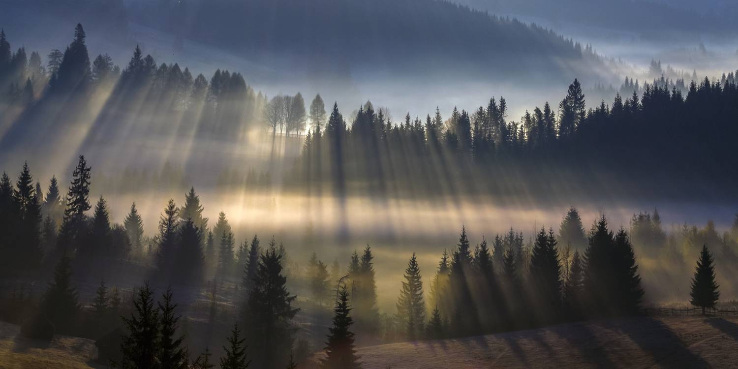 пейзаж туман утро осень, Мурзинов Виктор