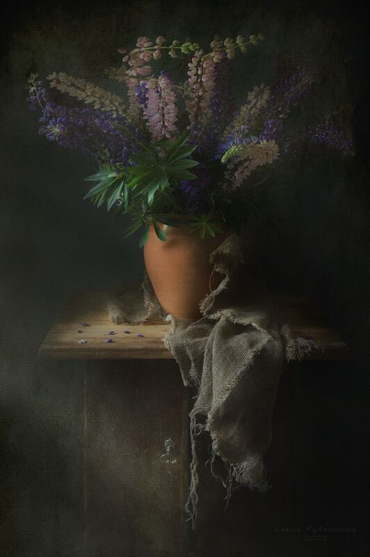 Люпины фото превью