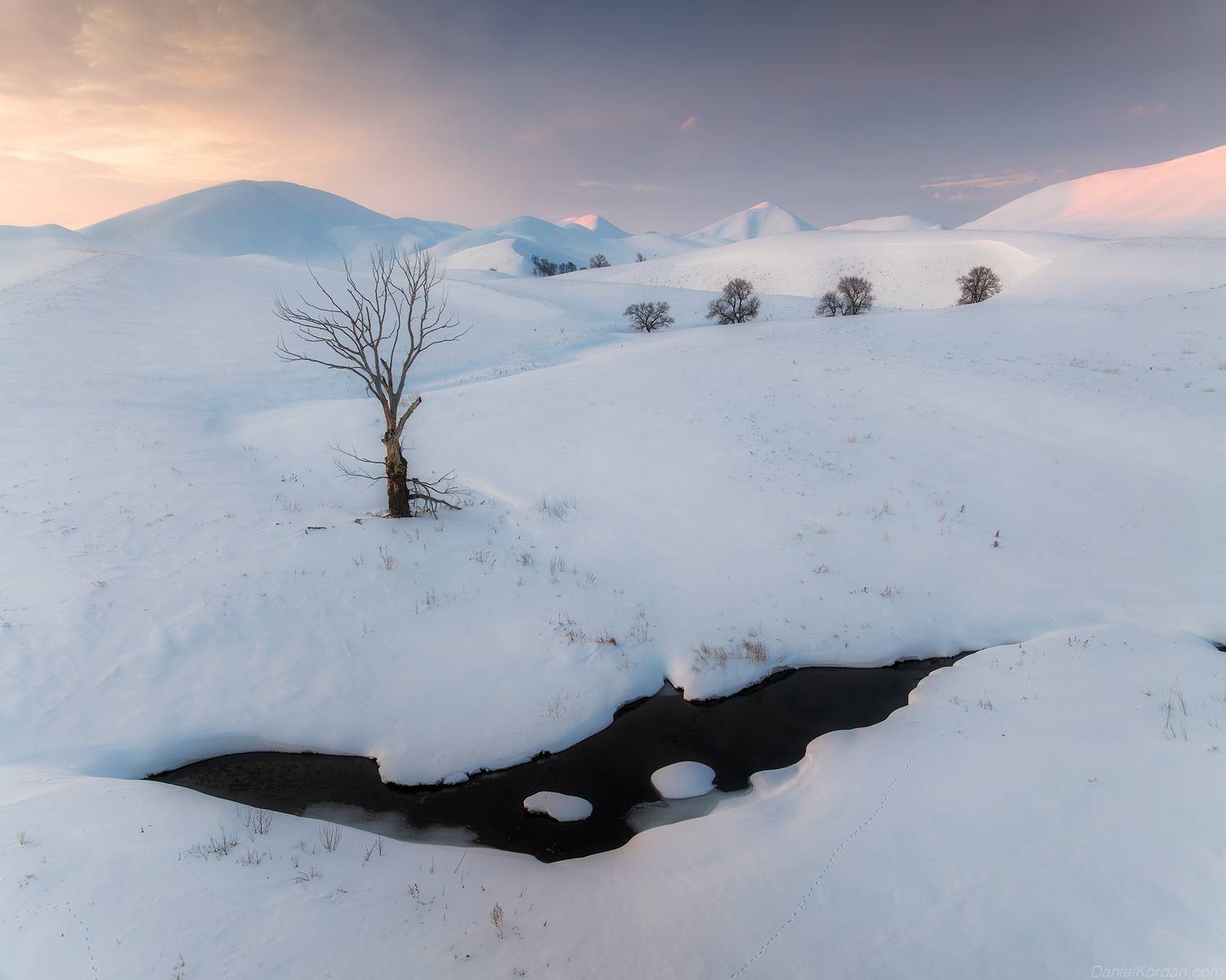 , Даниил Коржонов