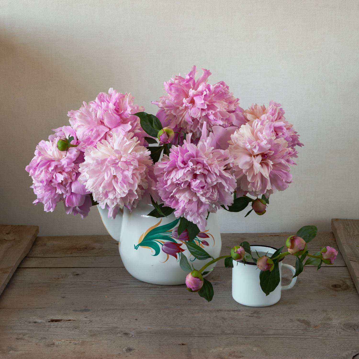 , Елена Павлюк