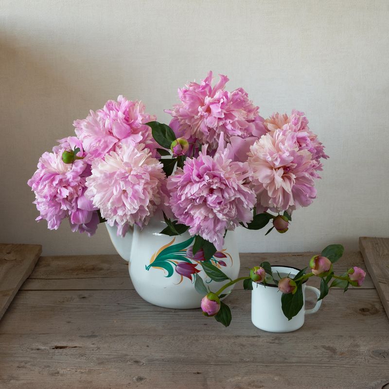 ***** фото превью