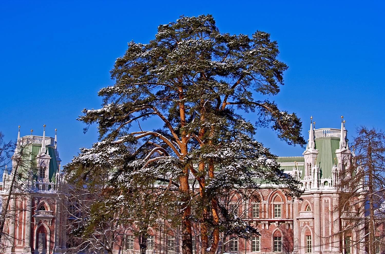 , Андрей Петросян