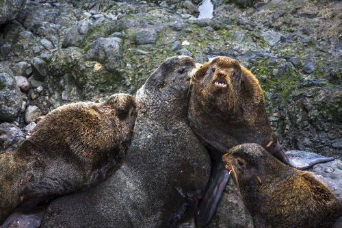 Война богов