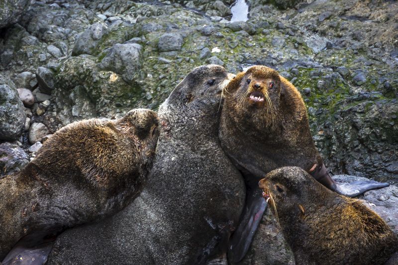 Война богов фото превью