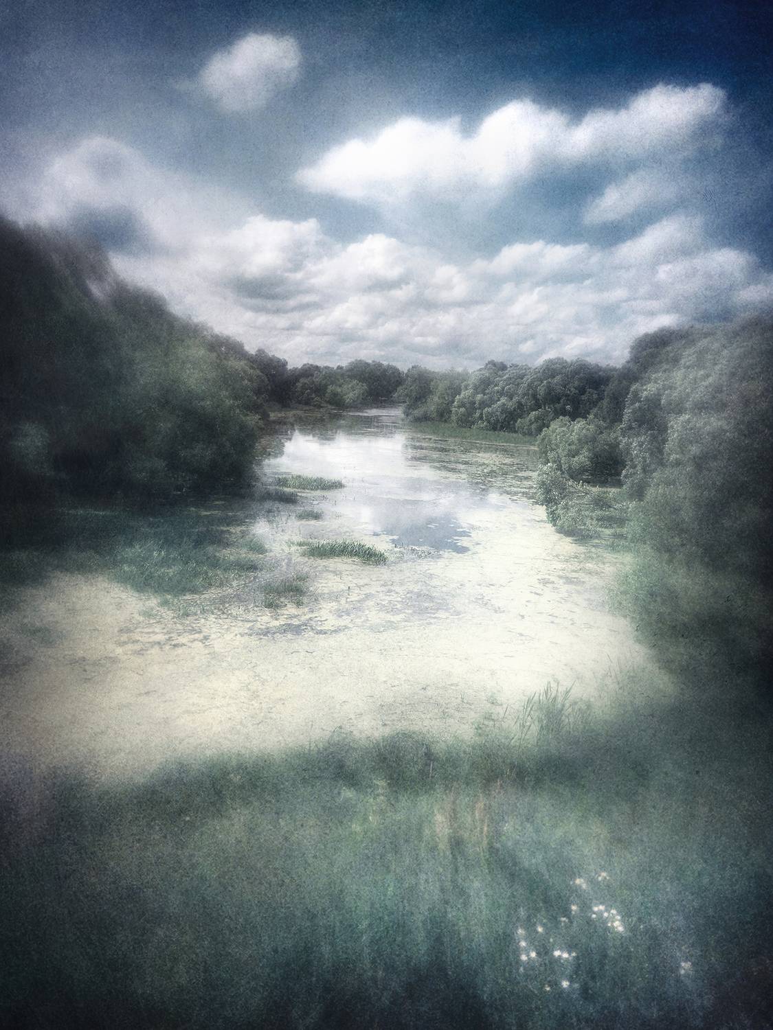 лето, река, пикториализм, Сергей Кот