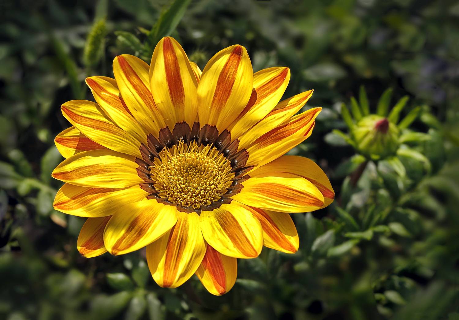 , Ушаков Валерий