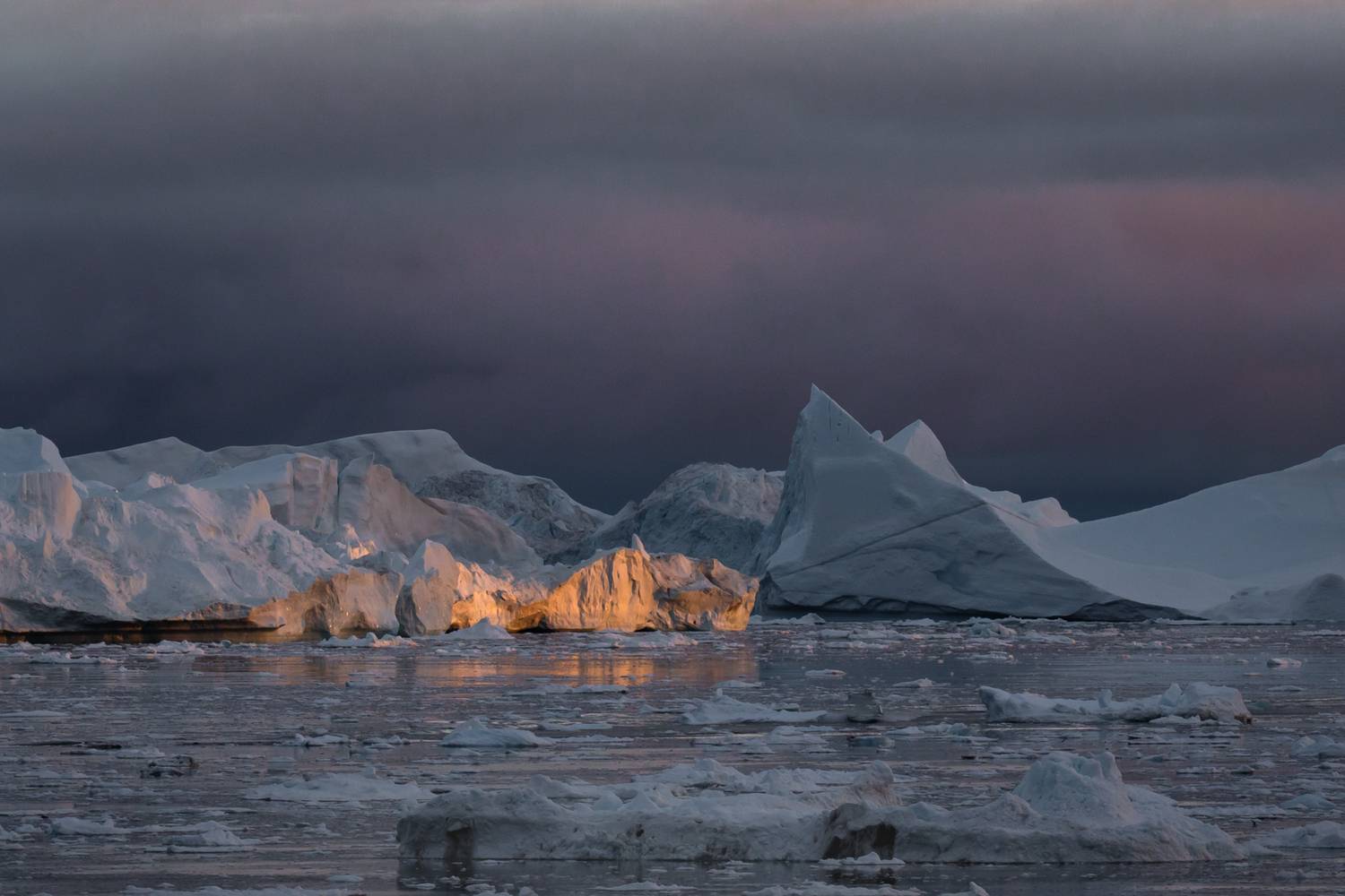 , Евгения Чех