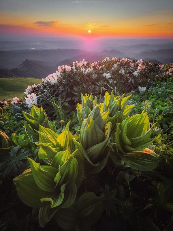 тхач, большой тхач, фототур, яковлевфототур, кавказ, адыгея Большой Тхач 2025 фото превью