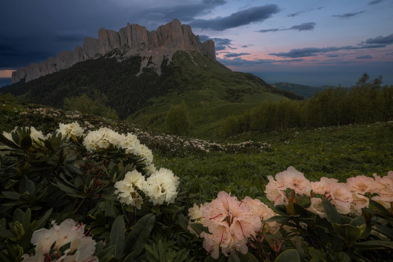 , Ширгин Сергей