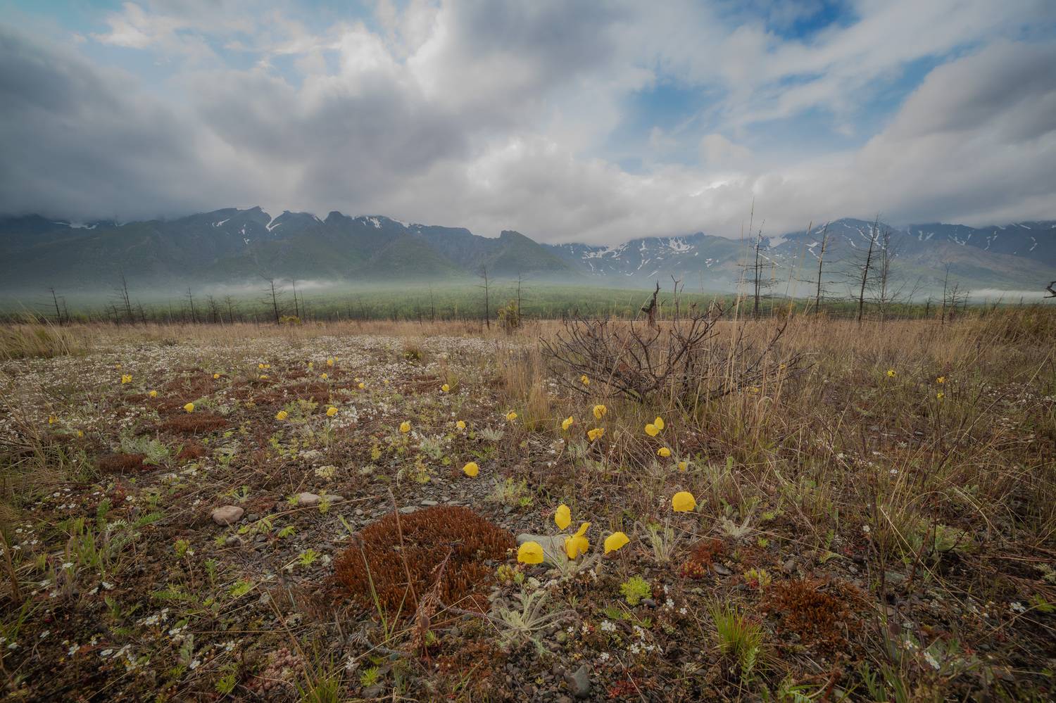 , Лаврентьев Александр