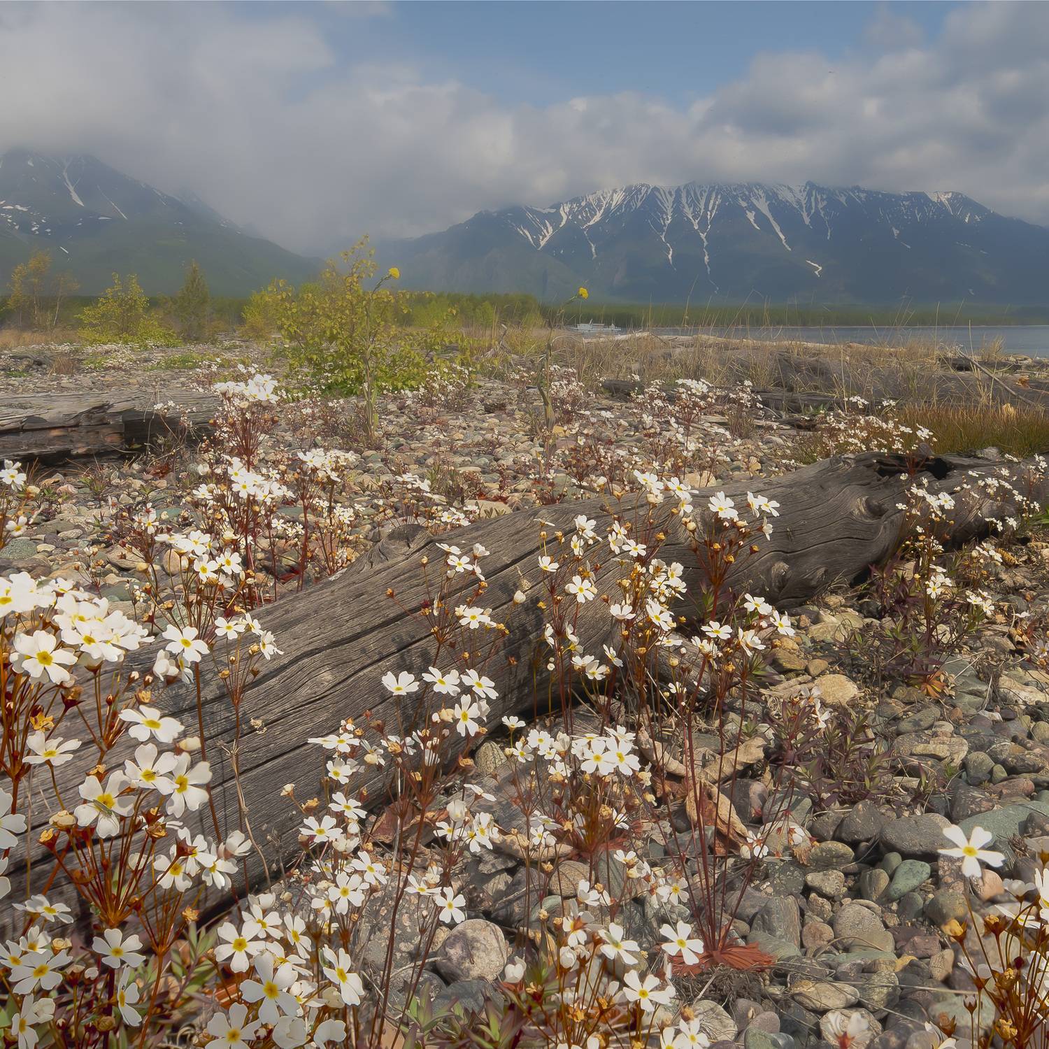 , Лаврентьев Александр