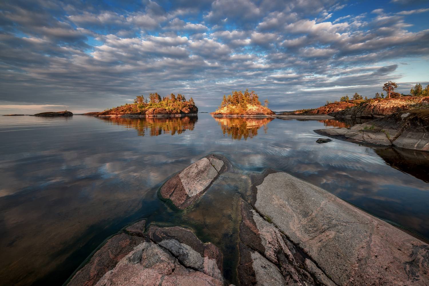 , Евдокимов Максим