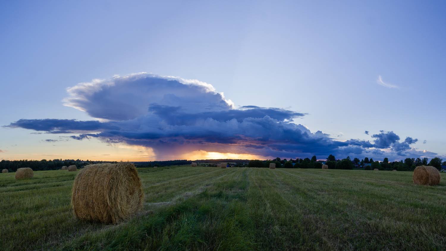 , Комарова Вера