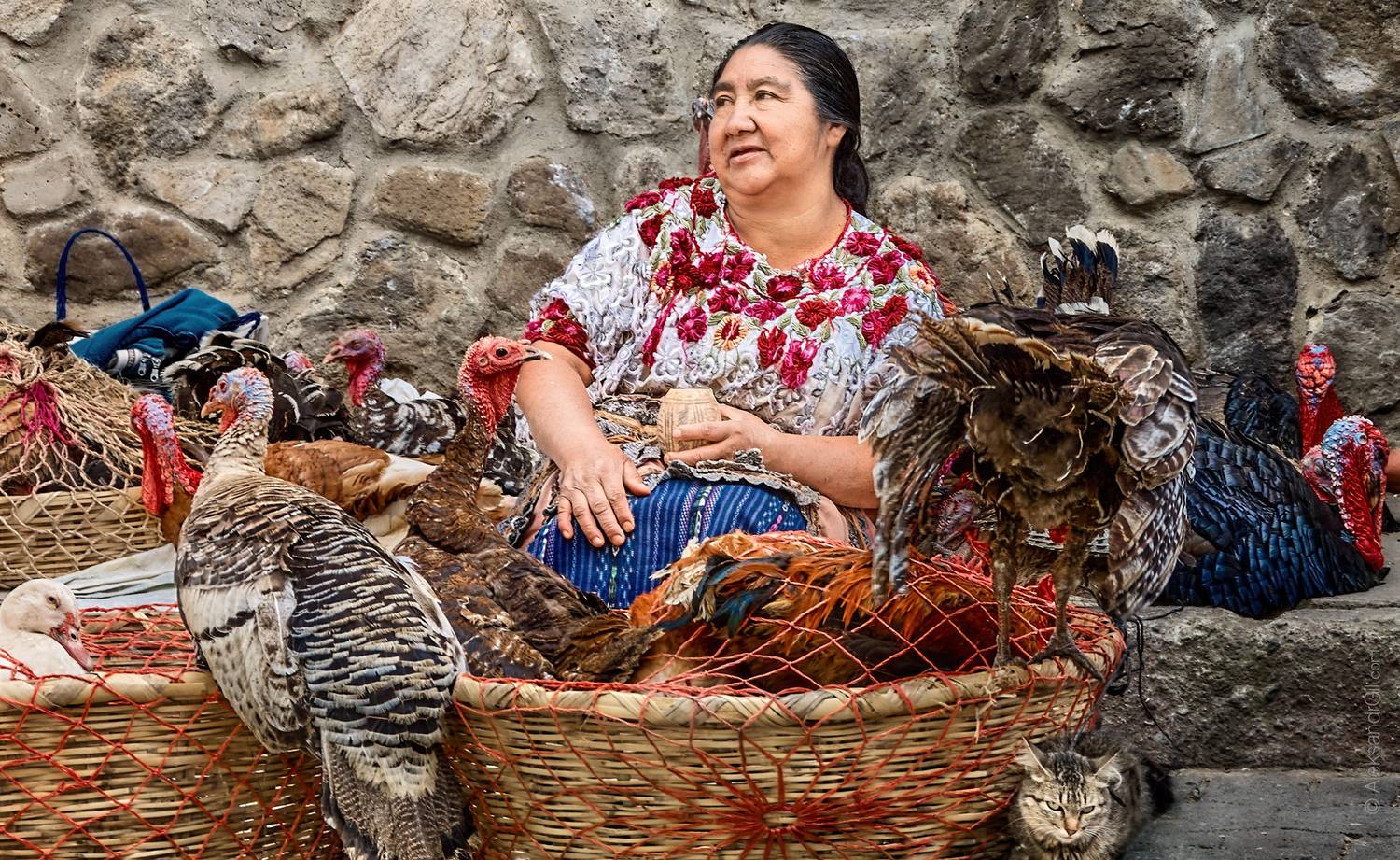 , Гиль Александр