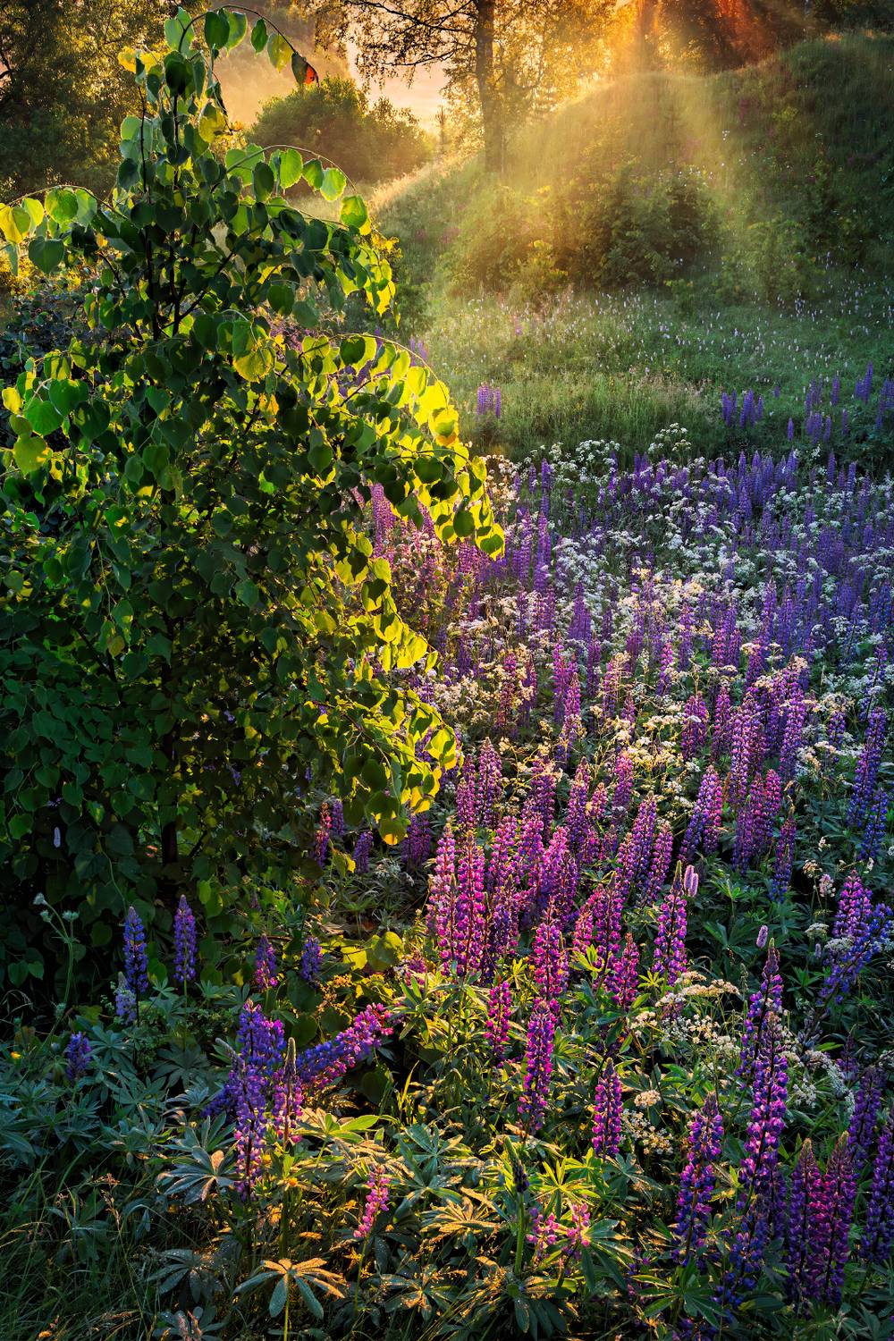 , Евгений Ерохин