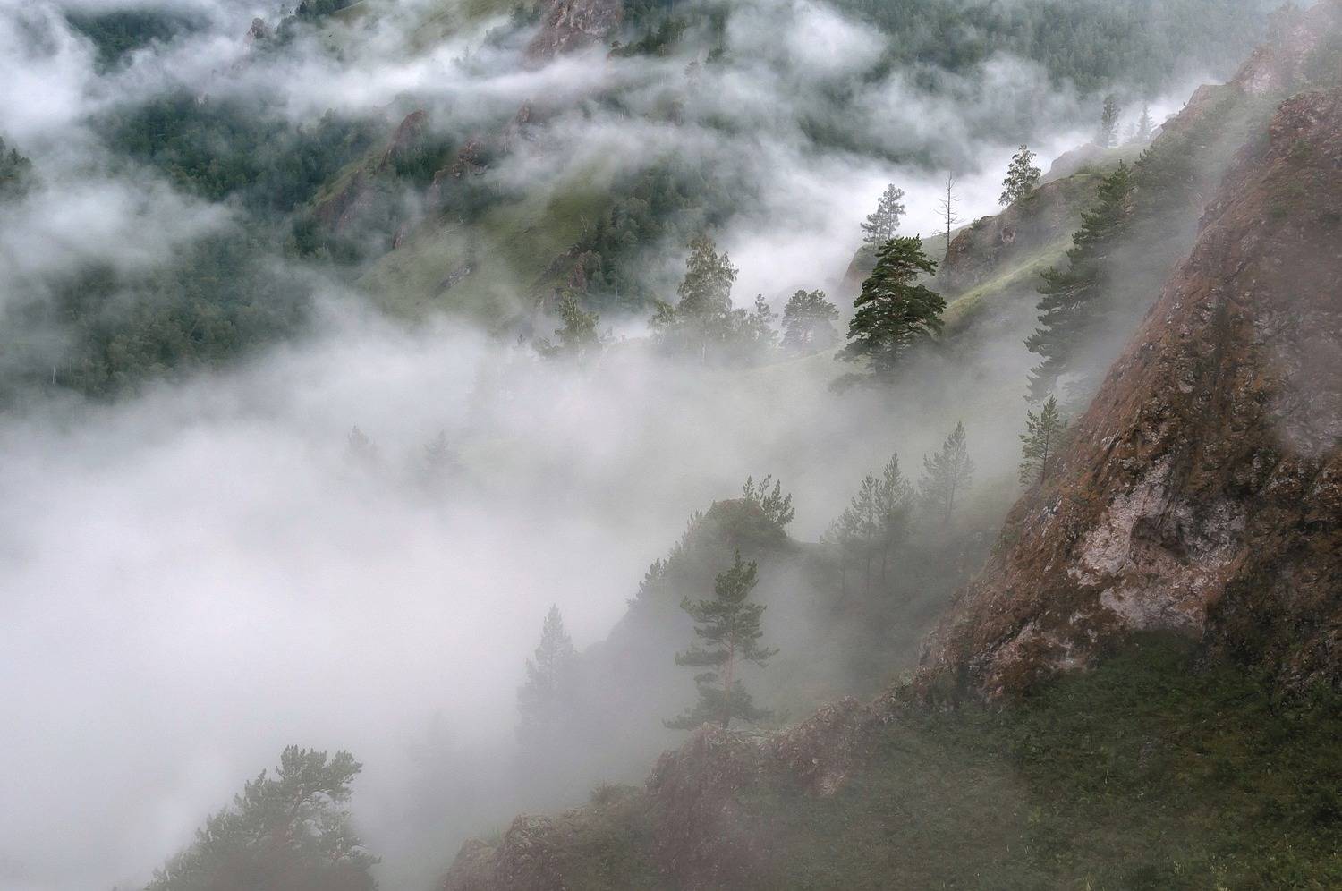 лето, торгашинский хребет, туман, енисейская сибирь, Фомина Марина