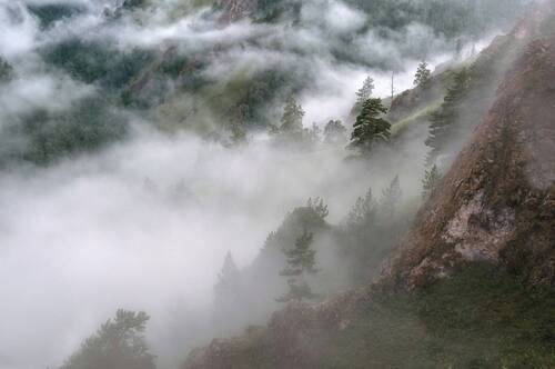 После дождя