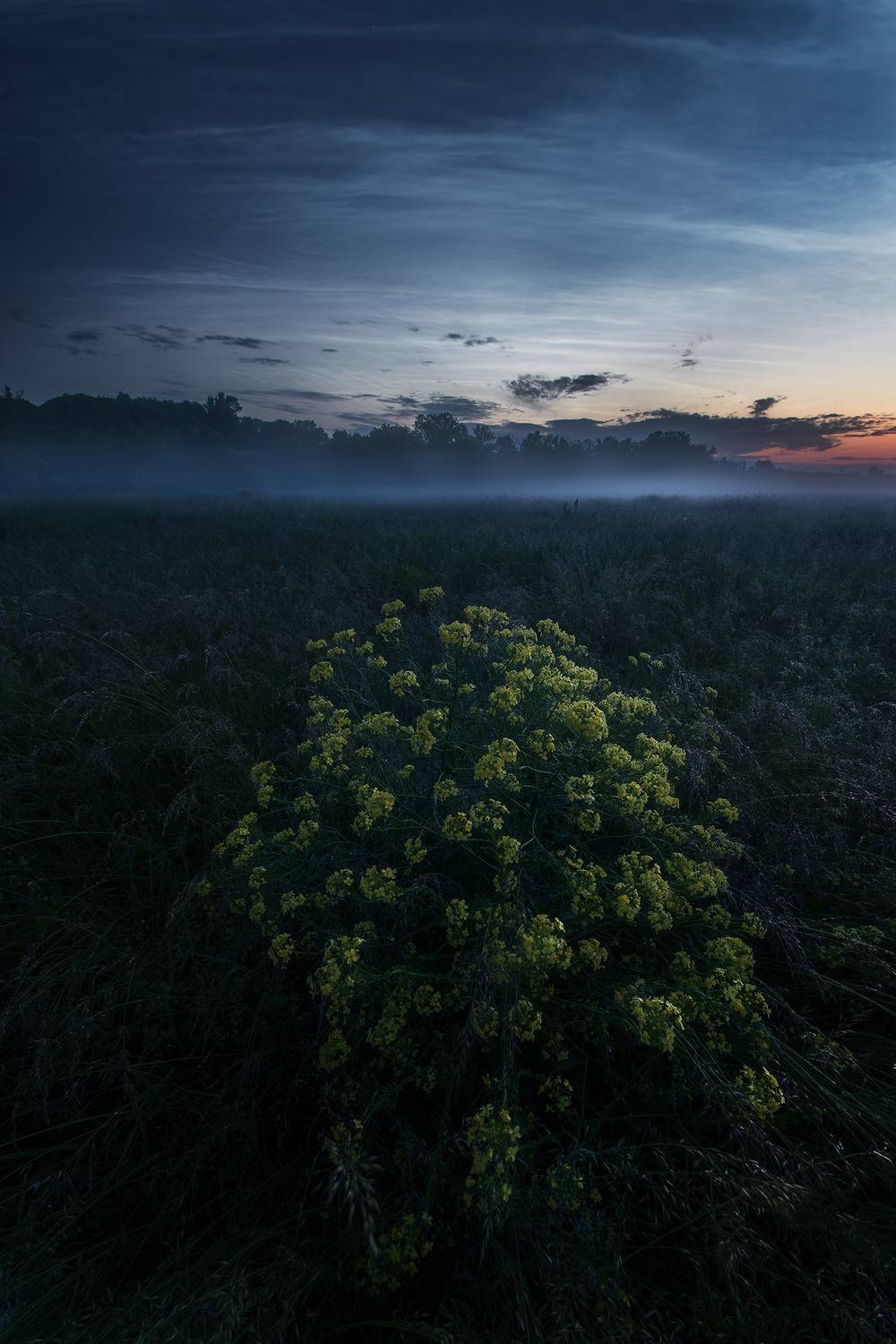 , Павел Жирнов