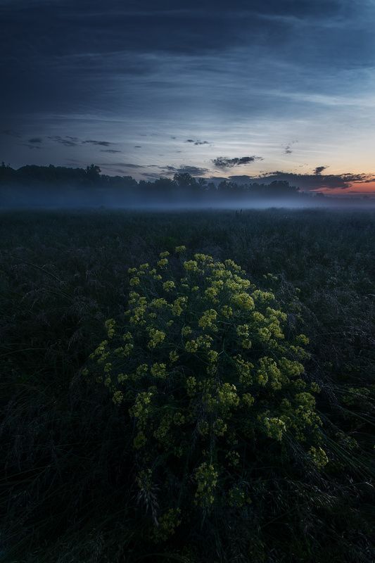 На заре фото превью