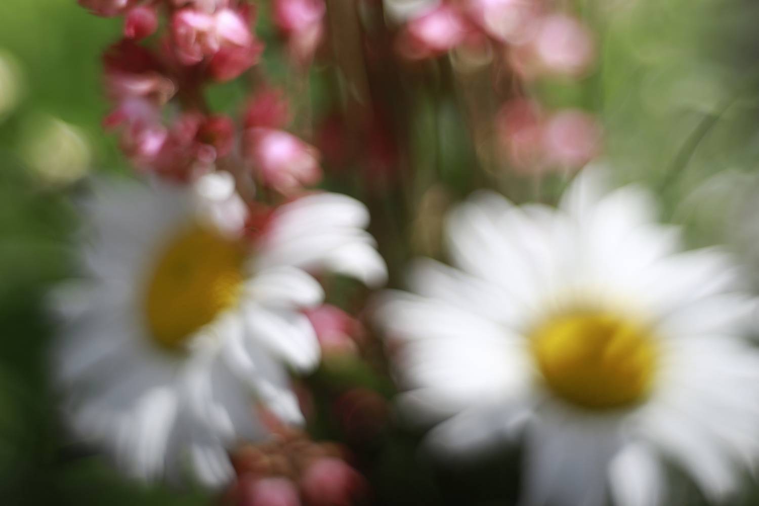 , Павел Мартюшев