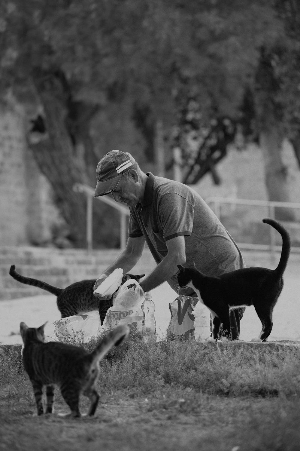 , Щеглова Марина