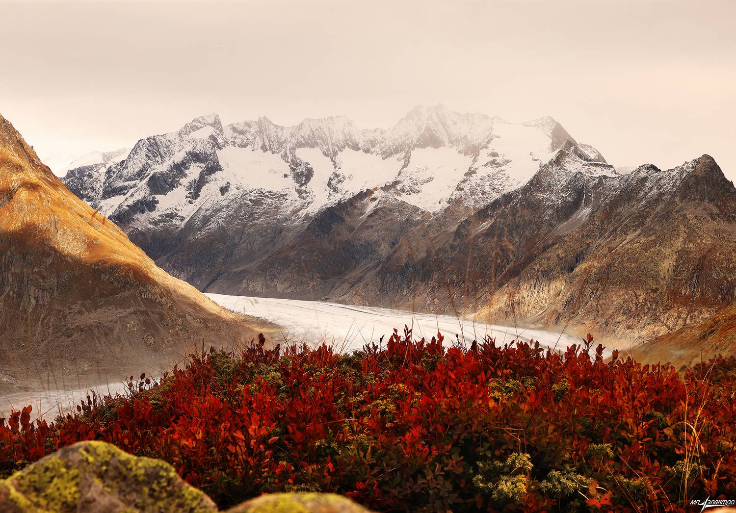 swiss, Матвеев Николай