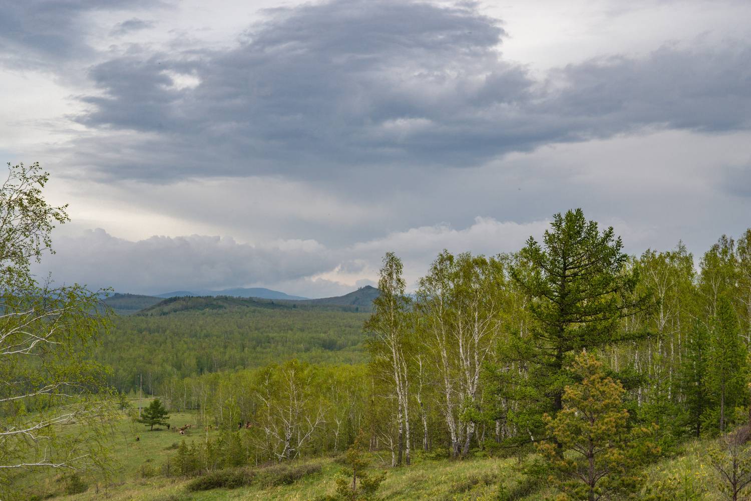 , Шустиков Дмитрий