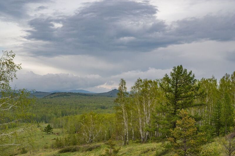 весенний косогор фото превью