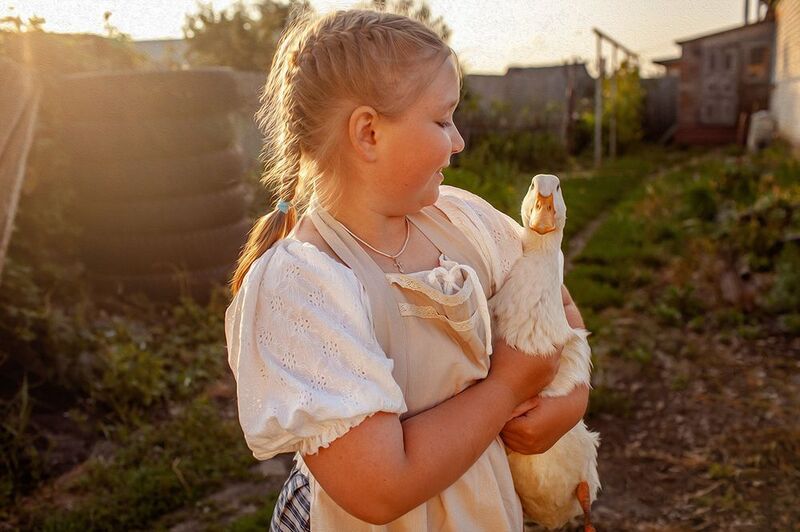 Деревенские истории фото превью