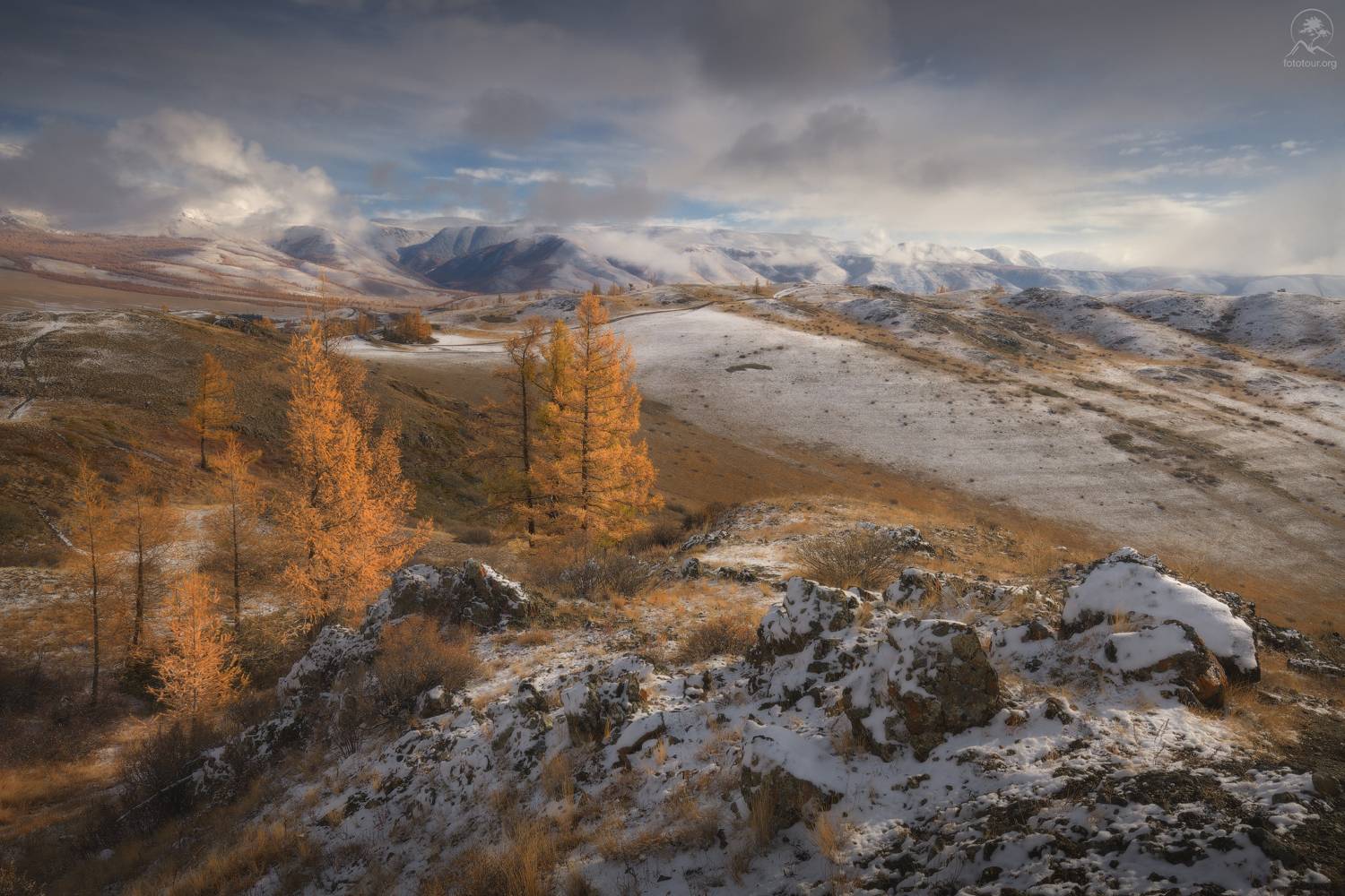 алтай, лиственницы, осень, горы, горный алтай, республика алтай, курай, фототур на алтай, осенний фототур на алтай, Гордиенко Анатолий