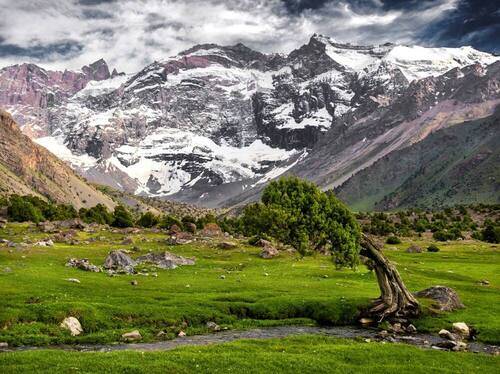 Дул ветер